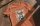 Csivavás póló 2. csivava mintás unisex, pamut rövidujjú póló - antik narancs